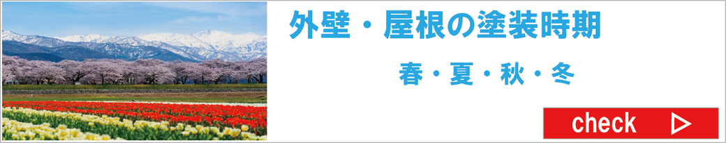 image (8)