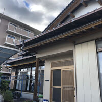 image (11)