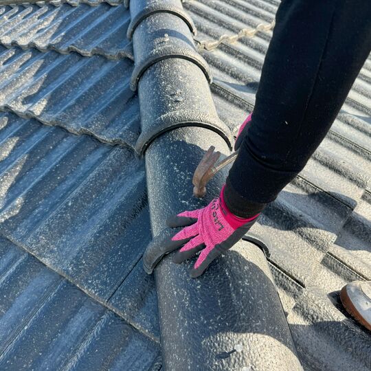画像3056